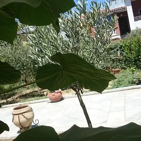 Garden Vila Penzion Golem (Tirana)