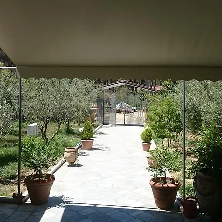 Garden Vila