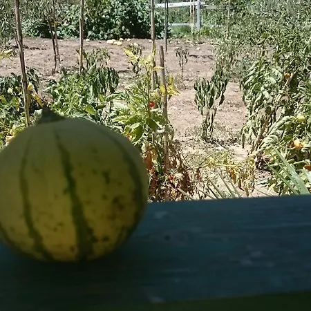 Garden Vila Penzion