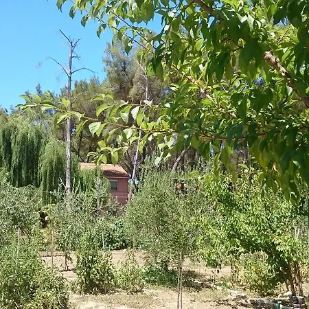 Garden Vila
