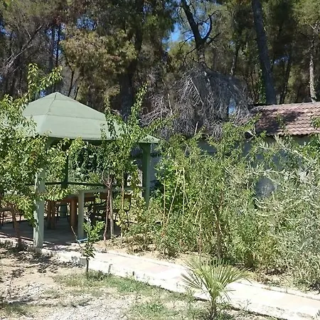 Garden Vila 2* Golem (Tirana)